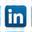 Icona LinkedIn